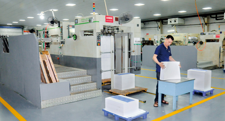 Automatic Die cut workshop